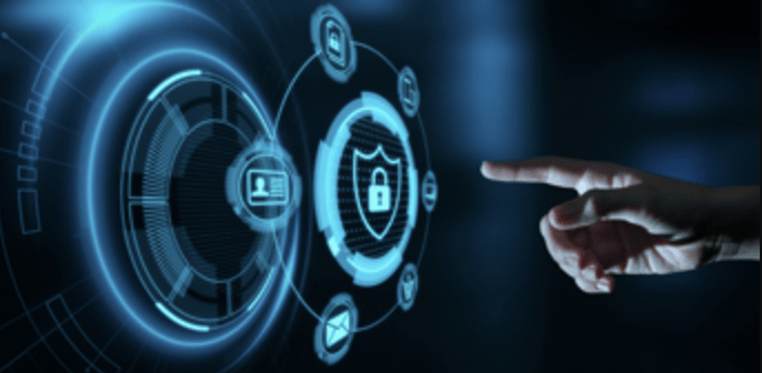 Privacy in Digital Identity Systems